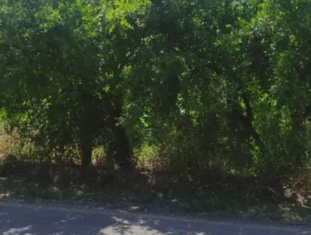 Ortaca Tepearasi Mevkiinde Satılık 400M²  Tarla